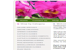 Tablet Screenshot of carmelaorchids.net